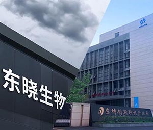 草莓污污污视频下载 × 東曉生物 | 以科技助力農業價值升級
