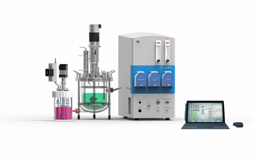 草莓视频APP在线观看