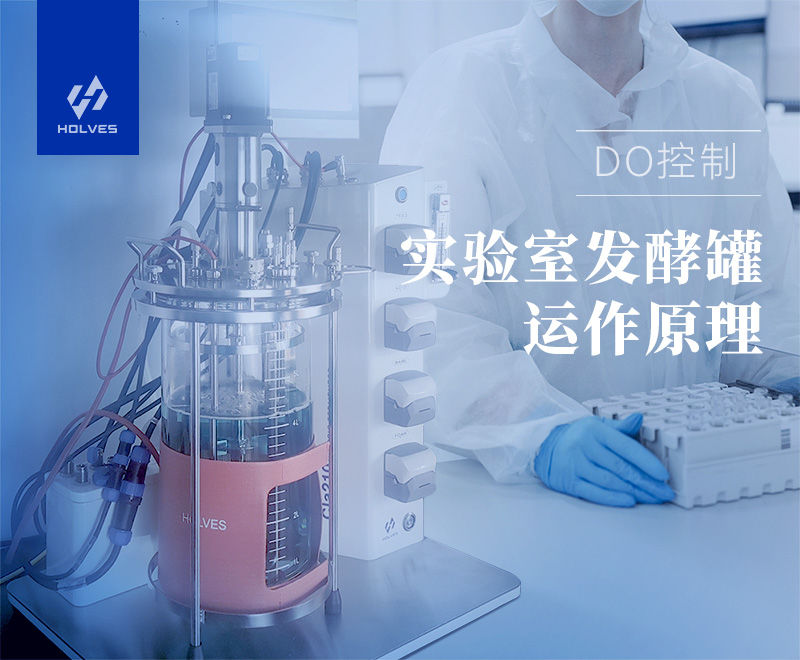 實驗室草莓视频APP在线观看 實驗室草莓视频APP在线观看