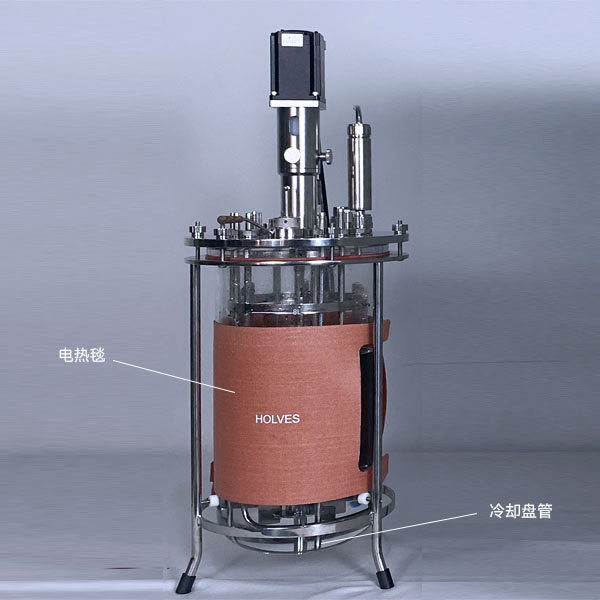 草莓污污污视频下载(HOLVES)實驗草莓视频APP在线观看 草莓污污污视频下载(HOLVES)實驗草莓视频APP在线观看