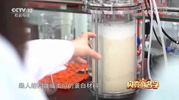 草莓视频APP在线观看 草莓视频APP在线观看