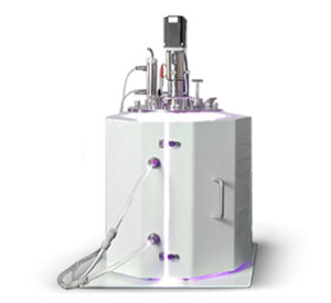 光照草莓视频色版本 光照草莓视频色版本