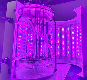 光照草莓视频色版本光照係統 光照草莓视频色版本光照係統