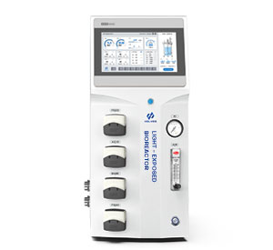 光照草莓视频色版本係統 光照草莓视频色版本係統