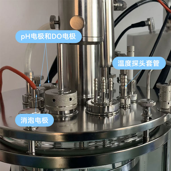 草莓视频APP在线观看傳感器 草莓视频APP在线观看傳感器