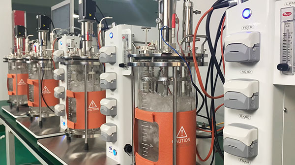 草莓污污污视频下载草莓视频APP在线观看