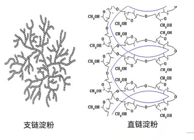 澱粉糖結構 澱粉糖結構