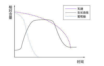 大腸杆菌在不同培養基中的生長 大腸杆菌在不同培養基中的生長