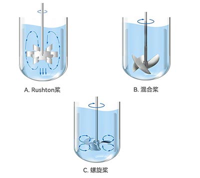草莓污污污视频下载草莓视频APP在线观看不同類型槳葉